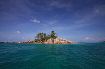 Seychelles. © Philip Plisson / Plisson La Trinité / AA14959 - Photo Galleries - Palm tree