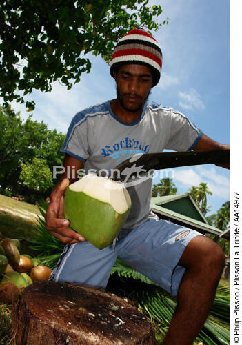 Seychelles. - © Philip Plisson / Plisson La Trinité / AA14977 - Photo Galleries - Man
