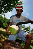 Les Seychelles. © Philip Plisson / Plisson La Trinité / AA14977 - Nos reportages photos - Noix de coco