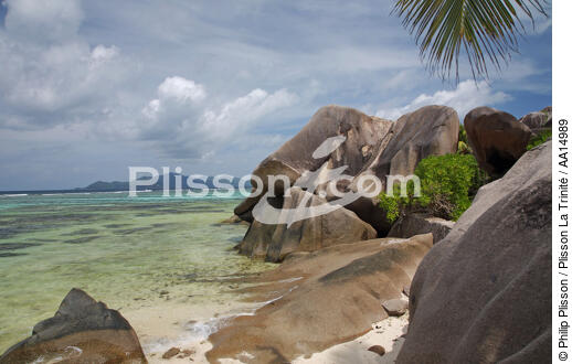 Seychelles. - © Philip Plisson / Plisson La Trinité / AA14989 - Photo Galleries - Palm tree