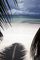 Plage aux Seychelles. © Philip Plisson / Plisson La Trinité / AA14998 - Nos reportages photos - Plage