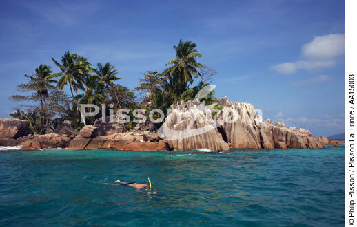 Plongée aux Seychelles. - © Philip Plisson / Plisson La Trinité / AA15003 - Nos reportages photos - Homme