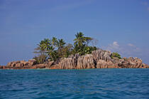 The Seychelles. © Philip Plisson / Plisson La Trinité / AA15004 - Photo Galleries - Palm tree