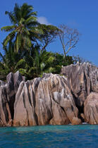 The Seychelles. © Philip Plisson / Plisson La Trinité / AA15010 - Photo Galleries - Palm tree