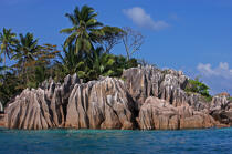 Les Seychelles. © Philip Plisson / Plisson La Trinité / AA15011 - Nos reportages photos - Flore