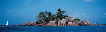 The Seychelles. © Philip Plisson / Plisson La Trinité / AA15020 - Photo Galleries - Palm tree