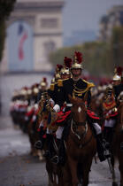 Trompettes de cavalerie © Philip Plisson / Plisson La Trinité / AA15255 - Nos reportages photos - Mammifère