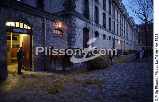 Republican guard. Quartier des Célestins - © Philip Plisson / Plisson La Trinité / AA15321 - Photo Galleries - Horse