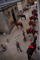 Quartier des Célestins. © Philip Plisson / Plisson La Trinité / AA15331 - Nos reportages photos - Régiment de cavalerie