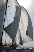 Eleonora - Classic Week 2007 © Philip Plisson / Plisson La Trinité / AA15360 - Photo Galleries - Schooner [Yachting]