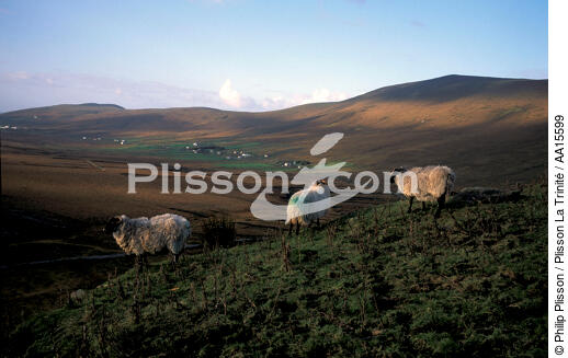 Achill island - © Philip Plisson / Plisson La Trinité / AA15599 - Nos reportages photos - Irlande, l'île verte