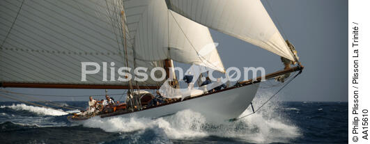 Mariquita during the sails of Saint Tropez - © Philip Plisson / Plisson La Trinité / AA15610 - Photo Galleries - J Class yacht