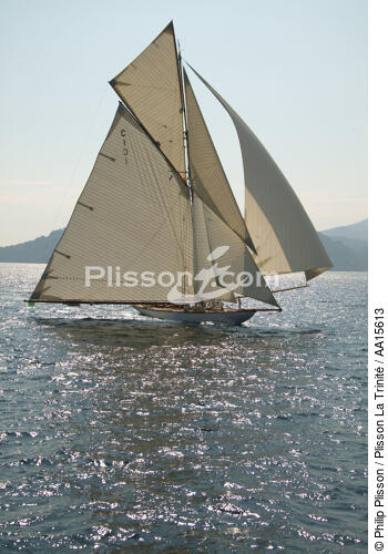 Mariquita during the sails of Saint Tropez - © Philip Plisson / Plisson La Trinité / AA15613 - Photo Galleries - J Class yacht