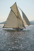 Mariquita during the sails of Saint Tropez © Philip Plisson / Plisson La Trinité / AA15613 - Photo Galleries - J Class yacht