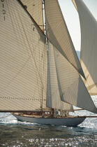 Mariquita during the sails of Saint Tropez © Philip Plisson / Plisson La Trinité / AA15614 - Photo Galleries - J Class yacht
