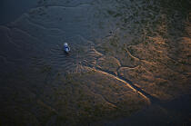 Empreinte en rivière de Crach © Philip Plisson / Plisson La Trinité / AA15670 - Nos reportages photos - Lumière