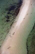 La plage du Men-Du à la Trinité sur mer. © Philip Plisson / Plisson La Trinité / AA15683 - Nos reportages photos - Trinité-sur-Mer [La]