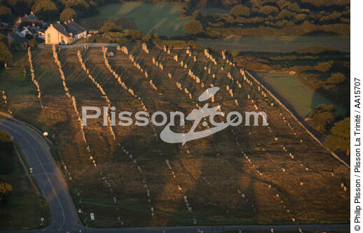 Allignements de Carnac - © Philip Plisson / Plisson La Trinité / AA15707 - Nos reportages photos - Mégalithe