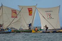 Malagasy Cup © Philip Plisson / Plisson La Trinité / AA15824 - Photo Galleries - Rowing boat