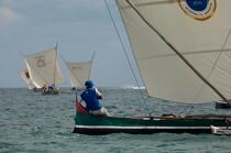 Malagasy Cup © Philip Plisson / Plisson La Trinité / AA15825 - Photo Galleries - Rowing boat