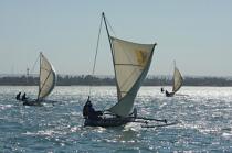 Malagasy Cup © Philip Plisson / Plisson La Trinité / AA15833 - Photo Galleries - Rowing boat