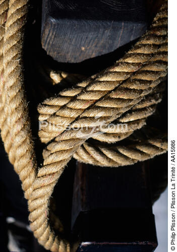 Cordage sur le HMS Rose. - © Philip Plisson / Plisson La Trinité / AA15986 - Nos reportages photos - Gréement