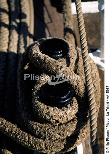 Belem - © Philip Plisson / Plisson La Trinité / AA15987 - Photo Galleries - Rope