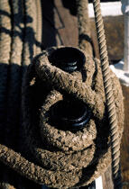 Belem © Philip Plisson / Plisson La Trinité / AA15987 - Photo Galleries - Ropes and rigging