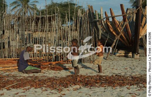 Belo sur mer - © Philip Plisson / Plisson La Trinité / AA16396 - Nos reportages photos - Chantier Naval