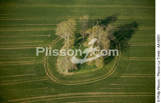 England - © Philip Plisson / Plisson La Trinité / AA16551 - Photo Galleries - Field