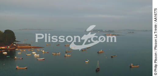 Pointe du Ruaud - © Philip Plisson / Plisson La Trinité / AA16775 - Nos reportages photos - Le Morbihan à tire d'ailes Photos de Philip Plisson