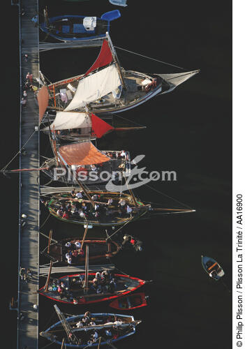 Traditional sailing in the port of Rabine in Vannes. - © Philip Plisson / Plisson La Trinité / AA16900 - Photo Galleries - Vannes