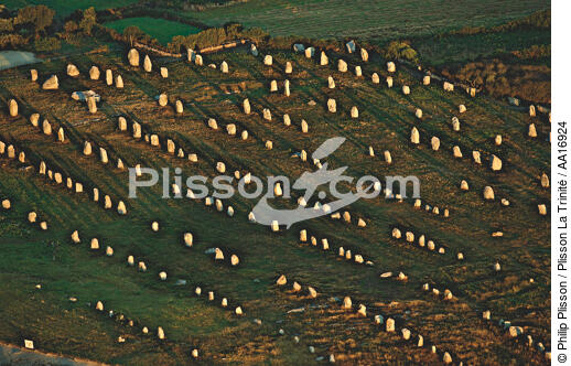 The alignments of Carnac. - © Philip Plisson / Plisson La Trinité / AA16924 - Photo Galleries - Standing stone