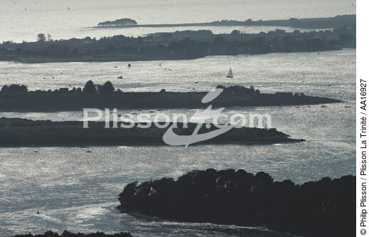 Contre-jour dans le Golfe du Morbihan. - © Philip Plisson / Plisson La Trinité / AA16927 - Nos reportages photos - Le Morbihan à tire d'ailes Photos de Philip Plisson