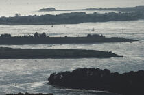 Backlite in the Gulf of Morbihan. © Philip Plisson / Plisson La Trinité / AA16927 - Photo Galleries - Backlit