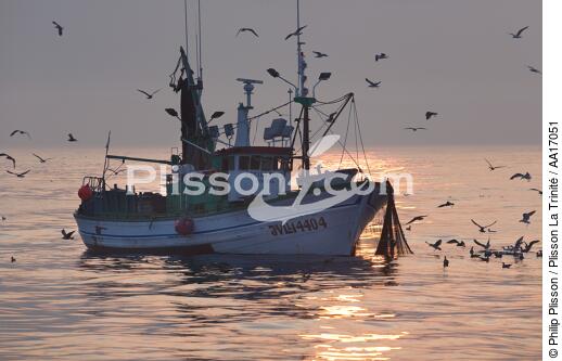 Pêche à la sardine en Galice - © Philip Plisson / Plisson La Trinité / AA17051 - Nos reportages photos - La pêche à la sardine