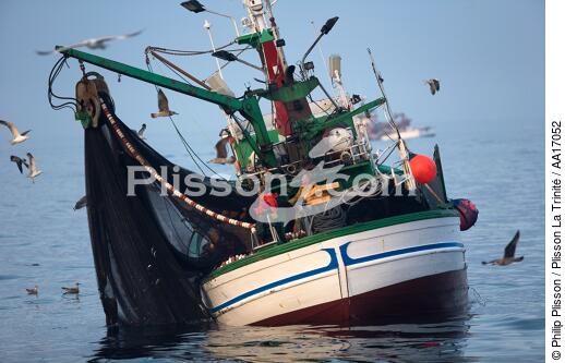 Sardine fishing in Galicia - © Philip Plisson / Plisson La Trinité / AA17052 - Photo Galleries - Sardine Fishing