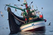 Pêche à la sardine en Galice © Philip Plisson / Plisson La Trinité / AA17052 - Nos reportages photos - Materiel de pêche