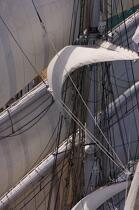 Belem © Philip Plisson / Plisson La Trinité / AA17060 - Photo Galleries - Tall ships