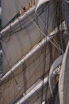 Belem © Philip Plisson / Plisson La Trinité / AA17075 - Photo Galleries - Tall ships
