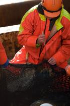 Pêche au Capelan en Islande © Philip Plisson / Plisson La Trinité / AA17174 - Nos reportages photos - Materiel de pêche