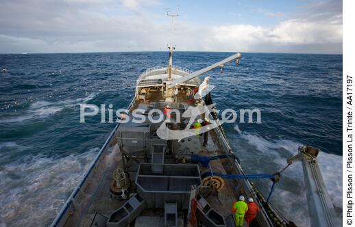 Capelin fishing in Iceland. - © Philip Plisson / Plisson La Trinité / AA17197 - Photo Galleries - Professional fisherman