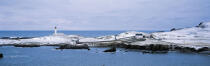 Fair Island en Ecosse. © Philip Plisson / Plisson La Trinité / AA17254 - Nos reportages photos - Shetlands [Ile des]