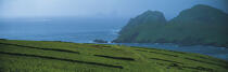 Sweet Kerry © Philip Plisson / Plisson La Trinité / AA17283 - Photo Galleries - Ireland, the green island