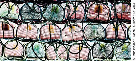 Casiers de pêche. - © Philip Plisson / Plisson La Trinité / AA17364 - Nos reportages photos - Casier