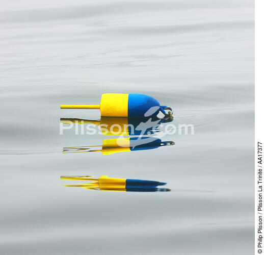 Buoy. - © Philip Plisson / Plisson La Trinité / AA17377 - Photo Galleries - Buoy