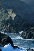 Cabo Ortegal © Philip Plisson / Plisson La Trinité / AA17451 - Photo Galleries - Lighthouse [Galicia]