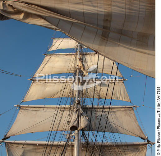 The Belem, all sails out. - © Philip Plisson / Plisson La Trinité / AA17635 - Photo Galleries - Sea decoration