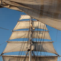 The Belem, all sails out. © Philip Plisson / Plisson La Trinité / AA17635 - Photo Galleries - Square format