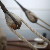 The Belem. © Philip Plisson / Plisson La Trinité / AA17637 - Photo Galleries - Tall ships